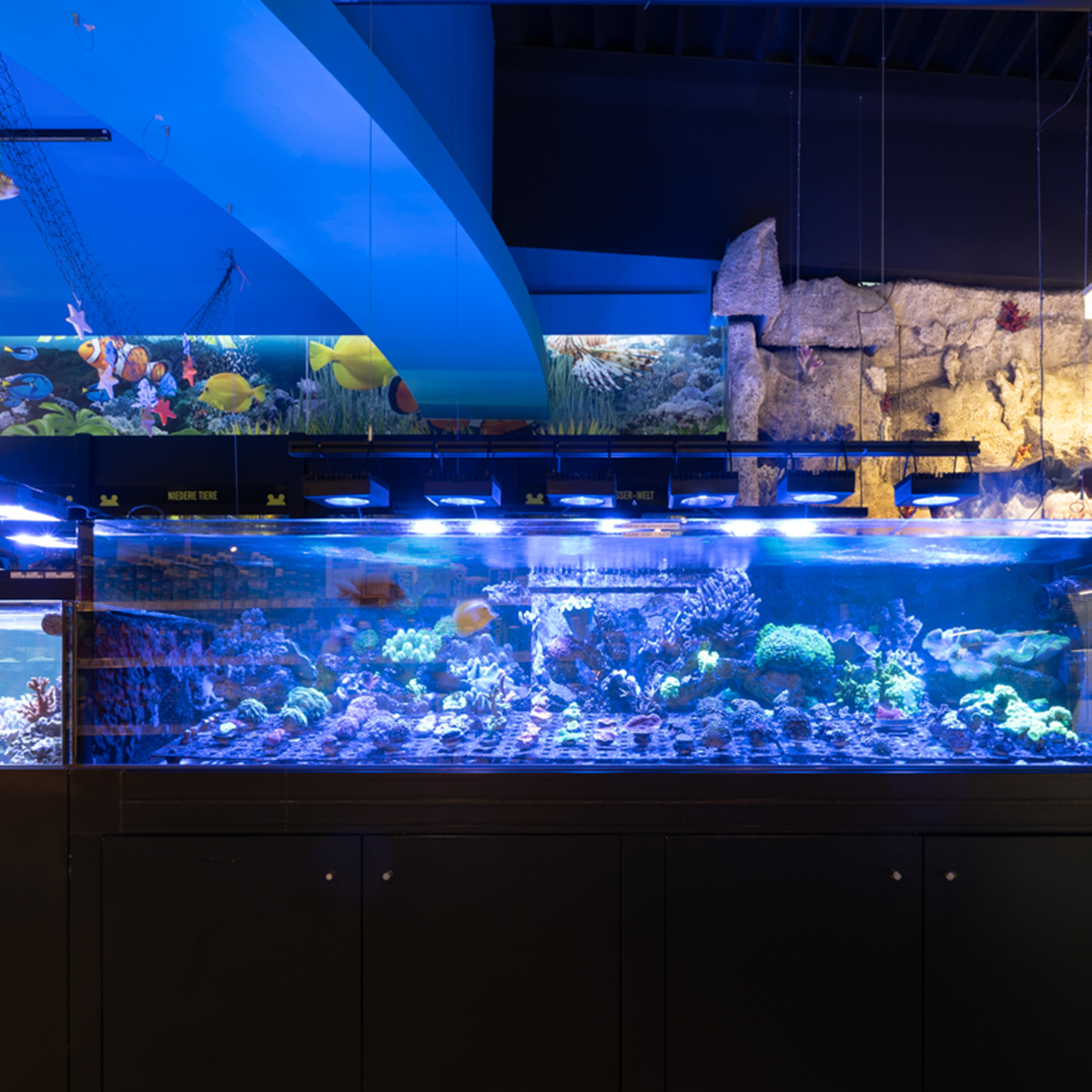 Nuernberg 1200x1200 05